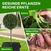 TTL GARDEN Pflanzsack 95L – 2er Set Filz & Vliesstoff für Produktbild-Vorschau 6