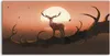 Coloray - Glasbild - 100x50 cm - Wandbild - Glasbilder - Produktbild-Vorschau 1