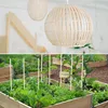 Belle Vous Bambus 100er Pack Holzstäbchen zum Basteln aus Produktbild-Vorschau 7