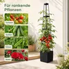Tomatentopf mit Rankhilfe, 1 Stück 140 cm Selbstbewässerung Produktbild-Vorschau 8