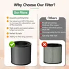 2er FY0910 Ersatzfilter für Philips Luftreiniger 900 Series Produktbild-Vorschau 8