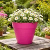Mega Collections Pflanzentopf/blumentopf - Kunststoff - Produktbild-Vorschau 6