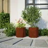 vidaXL Pflanzkübel 2 Stk. Sechseckig 46x40x45 cm Produktbild-Vorschau 5