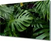 Coloray Hackbrett Herdabdeckplatte 80x52 cm Küchenbrett Produktbild-Vorschau 1