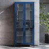 A dark blue metal display cabinet with glass doors stands against a textured concrete wall, with a potted plant to the right. Anteprima dell’immagine prodotto