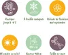 GreenboutiQ - Passionsblume - Passiflora Rainbow - Blume Produktbild-Vorschau 7