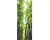Glasbild Treetops Feng Shui 30x80 cm Produktbild-Vorschau 1