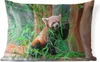MuchoWow® Outdoor Kissen - Roter Panda - Bambus - Grün - Produktbild-Vorschau 1
