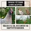 AniForte Wohlfühlkräuter für Hühner & Geflügel 500 g - Produktbild-Vorschau 5
