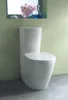 A white toilet in a bathroom with light green walls and a gray floor. Anteprima dell’immagine prodotto