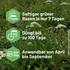 SUBSTRAL Rasen-Dünger mit Unkrautvernichter 9 kg - 8344 Produktbild-Vorschau 8
