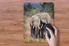 MuchoWow® Mauspad Mousepad Elefant - Tiere - Bäume - Natur Produktbild-Vorschau 3