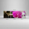 Bild auf Leinwand - Leinwandbild - Orchidee Bambus Produktbild-Vorschau 3