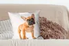 MuchoWow® Zierkissen Sofakissen Wohnzimmer Dekokissen 50x50 Produktbild-Vorschau 4