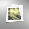 Poster - Poster ohne Rahmen - Morgendämmerung Dschungel Produktbild-Vorschau 3