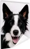 MuchoWow® Poster Fröhlicher Border Collie 120x160 cm - Produktbild-Vorschau 1