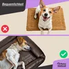 Lazy Bag Premium Hundekissen S Braun (60x40 cm) – Produktbild-Vorschau 4