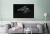 MuchoWow® Poster Kolibri - Federn - Schwarz 120x80 cm - Produktbild-Vorschau 5