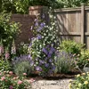 Jardin Terrasse Pergola pour rosiers - Idéal acier noir Voir les images du produit 13