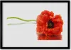 Bild 100x70 MDF-Rahmen Wandkunst Blumen Natur Natur Produktbild-Vorschau 1