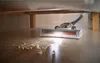 Scopa aspirapolvere ricaricabile 18v bianca Black+decker Anteprima dell’immagine prodotto 13