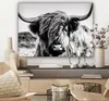 OneMillionCanvasses® - Obrazy na plátně - Kráva - Skotský Náhled obrázku produktu 7