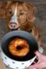 Nobby STARSNACK Barbecue Chicken Donut  ca. 10,0 cm, 2 St., Produktbild-Vorschau 3