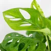 3x Luftreinigungskörbe Mix – Luftreinigung – ⌀12 cm - Produktbild-Vorschau 4