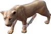 Schleich - Wild Life Lioness A+ Náhľad obrázku produktu 3
