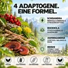 Stress Spray – Ashwagandha, Rosenwurz, Reishi & Schisandra Produktbild-Vorschau 3