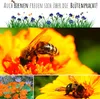 Kapuzinerkresse Samen (Tropaeolum majus) - Farbenprächtige, Produktbild-Vorschau 6