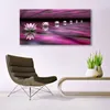 Glasbilder 140x70 Wandbild Druck auf Glas Blumen Pflanzen Produktbild-Vorschau 3