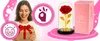 Rose éternelle en dôme de verre avec lumière LED | Fleur de Voir les images du produit 9