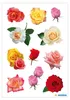 HERMA Sticker DECOR "Rosenblüten bunt" 3 Blatt à 11 Sticker Produktbild-Vorschau 2