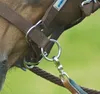 Halfter RIDING, Farbe:schwarz, Groesse:WB Produktbild-Vorschau 4