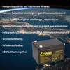Akku kompatibel Elektro Scooter u.a SXT 500 EEC 36V 3x 12V Produktbild-Vorschau 4