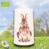 Wrendale Designs Porzellan Vase Hase & Gänseblümchen Produktbild-Vorschau 2