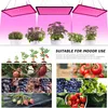 Collage of images showing LED grow lights, plants at different growth stages, tomatoes, grapes, and strawberries. Náhled obrázku produktu
