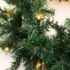 Close-up of a green Christmas garland with small yellow LED lights. Produktbild-Vorschau