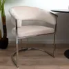 A beige velvet dining chair with a silver metal frame is shown in a room with a plant and a table.
