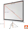 celexon basic Stativ-Leinwand 120" | 220x220 cm 1:1 | Produktbild-Vorschau 2