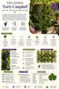 Vitis vinifera 'Early Campbell' Weinrebe (Tafeltraube) Produktbild-Vorschau 2
