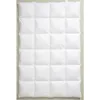 Centa Star Extra Leicht Moonlight Dauneneinziehdecke 8 X 10 Produktbild-Vorschau 1