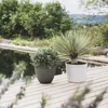Poétic 022058 G.CA SX2 : bac à plantes Poétic ELEMENT, Voir les images du produit 2