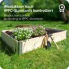 A wooden raised garden bed filled with soil and flowers, with gardening tools nearby, set in a grassy outdoor environment. Produktbild-Vorschau