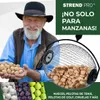 Recogedor de nueces y frutas Strend Pro OD-50206, con mango Vista previa de la imagen del producto 6