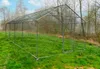 Enclos extérieur pour animaux - 3m x 8m x 2,5m Voir les images du produit 3