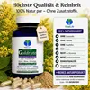 Echte Goldrute Solidago Goldrutenkraut 360 Kapseln - Nieren Produktbild-Vorschau 6