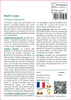 SAFLAX  - Basilic rouge - 200 graines - Ocimum Voir les images du produit 3