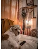 N'OVEEN F455 16 /40 cm standing fan with remote control  Náhľad obrázku produktu 8